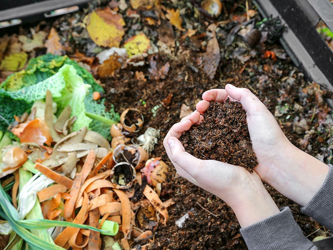 Photo d'un compost