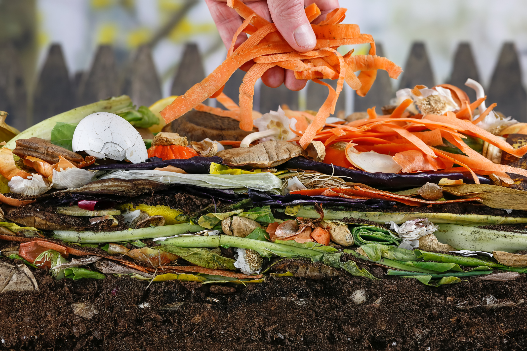 Tas d'épluchure de légumes