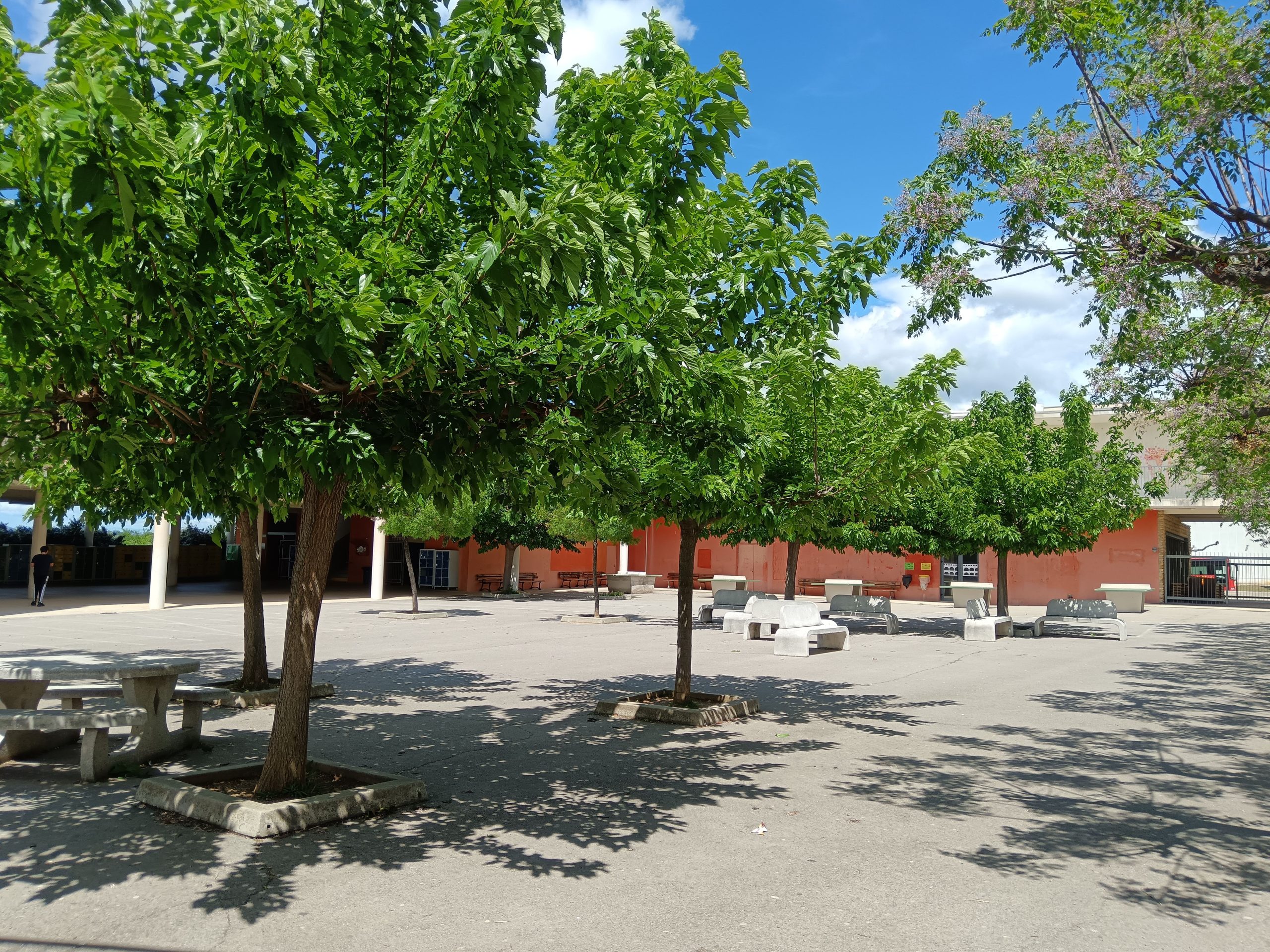 Image du collège La Vallée verte à Vauvert