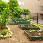 Photo de jardin pédagogique